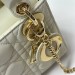 Сумка Christian Dior Lady RN1739
