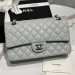 Сумка Chanel Flap Bag 25 RN1746