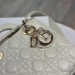 Сумка Christian Dior Lady RN1744