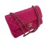 Сумка Chanel Flap Bag 25 RN1749