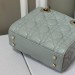 Сумка Christian Dior Mini Lady Bag RN1776