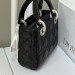 Сумка Christian Dior Mini Lady Bag RN1774