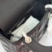 Сумка Christian Dior Mini Lady Bag RN1774