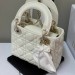 Сумка Christian Dior Mini Lady Bag RN1773