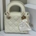 Сумка Christian Dior Mini Lady Bag RN1773