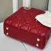 Сумка Christian Dior Mini Lady Bag RN1777