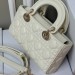 Сумка Christian Dior Small Lady D-Joy RN1782