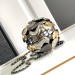 Сумка Chanel Limited Edition RN1797