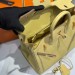 Сумка Hermes Birkin 25 RN1813