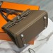 Сумка Hermes Birkin 25 RN1809