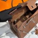 Сумка Hermes Birkin 25 RN1815