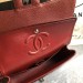 Сумка Chanel Flap Bag 25 RN1835