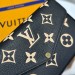 Сумка Louis Vuitton Felicie RN1896