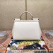 Сумка Dolce Gabbana Sicily RN1902