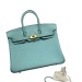 Сумка Hermes Birkin 25 RN2018