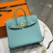 Сумка Hermes Birkin 25 RN2018