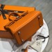 Сумка Hermes Birkin 25 RN2019
