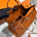 Сумка Hermes Birkin 25 RN2019