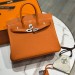 Сумка Hermes Birkin 25 RN2019