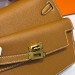 Сумка Hermes Kelly 20 Disorder Epsom RN2037