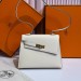 Сумка Hermes Kelly 20 Disorder Epsom RN2035