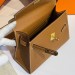 Сумка Hermes Kelly 20 Disorder Epsom RN2037