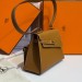 Сумка Hermes Kelly 20 Disorder Epsom RN2037
