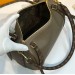 Сумка Louis Vuitton Borsa Express RN2134