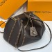 Сумка Louis Vuitton Borsa Express RN2136
