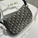 Сумка Christian Dior Besace RN2142