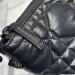 Сумка Christian Dior Star Hobo RN2145