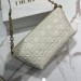 Сумка Christian Dior Star Hobo RN2146