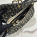 Сумка Christian Dior Besace RN2142
