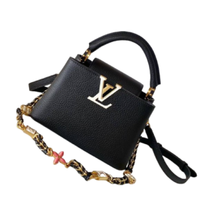 Сумка Louis Vuitton Capucines Mini RN2183