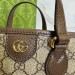 Сумка Gucci Ophidia RN2182 Сумка Gucci Ophidia RN2182