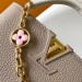 Сумка Louis Vuitton Capucines Mini RN2186 Сумка Louis Vuitton Capucines Mini RN2186