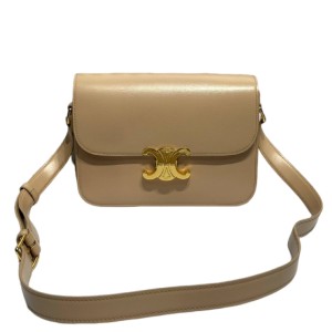 Сумка Celine Triomphe Bag RN2195