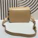 Сумка Celine Triomphe Bag RN2195 Сумка Celine Triomphe Bag RN2195