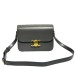 Сумка Celine Triomphe Bag RN2200 Сумка Celine Triomphe Bag RN2200