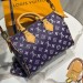 Cумка Louis Vuitton Speedy 30 RN2213 Cумка Louis Vuitton Speedy 30 RN2213