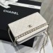 Сумка Chanel Woc RN2285 Сумка Chanel Woc RN2285