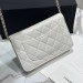 Сумка Chanel Woc RN2285 Сумка Chanel Woc RN2285