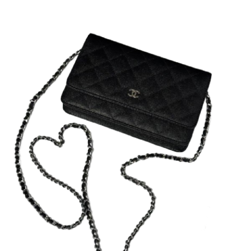 Сумка Chanel Woc RN2289 Сумка Chanel Woc RN2289