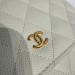 Сумка Chanel Woc RN2286 Сумка Chanel Woc RN2286