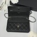 Сумка Chanel Woc RN2289 Сумка Chanel Woc RN2289