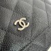Сумка Chanel Woc RN2289 Сумка Chanel Woc RN2289