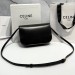 Сумка Celine Triomphe Bag RN2359
