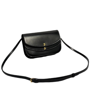 Сумка Celine Triomphe Bag RN2359