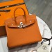 Сумка Hermes Birkin 25 RN2482