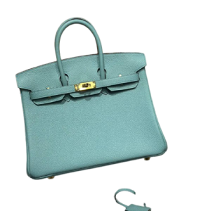 Сумка Hermes Birkin 25 RN2483